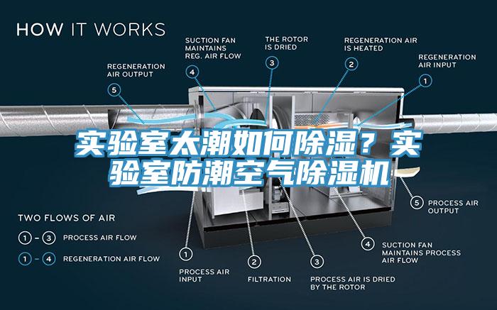 實(shí)驗(yàn)室太潮如何除濕？實(shí)驗(yàn)室防潮空氣除濕機(jī)