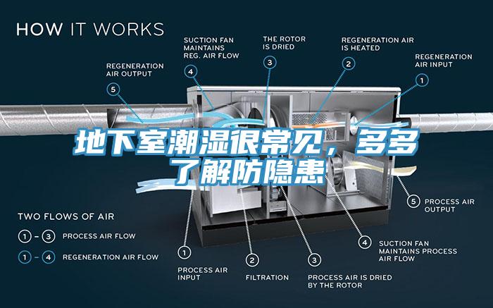 地下室潮濕很常見，多多了解防隱患