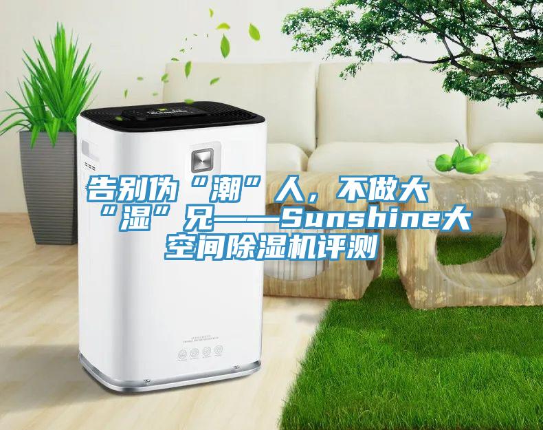 告別偽“潮”人，不做大“濕”兄——Sunshine大空間除濕機(jī)評測