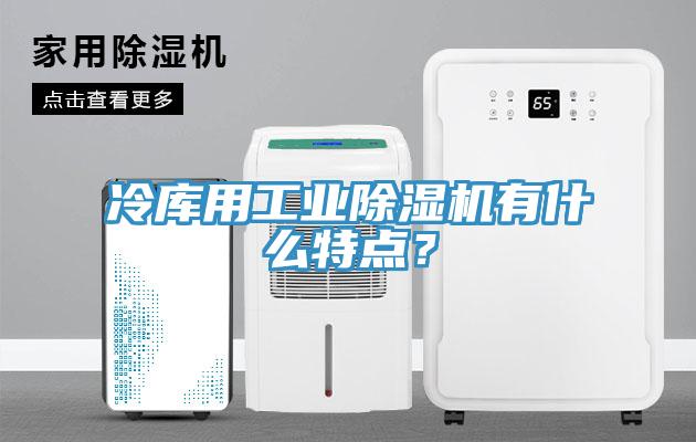 冷庫用工業(yè)除濕機有什么特點？