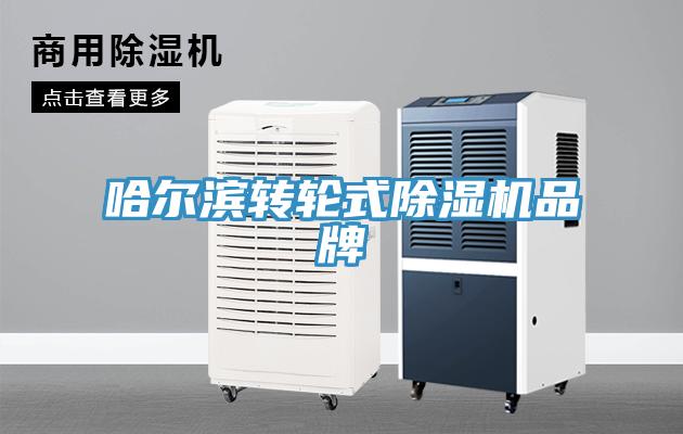 哈爾濱轉(zhuǎn)輪式除濕機(jī)品牌