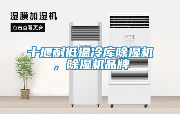 十堰耐低溫冷庫除濕機，除濕機品牌