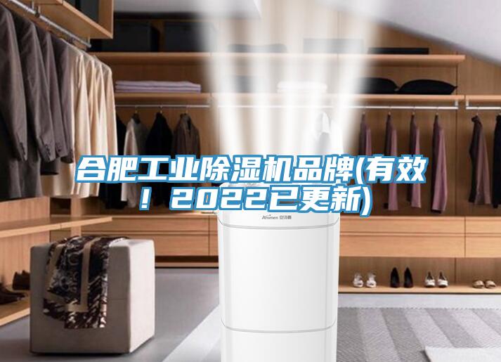 合肥工業(yè)除濕機(jī)品牌(有效！2022已更新)