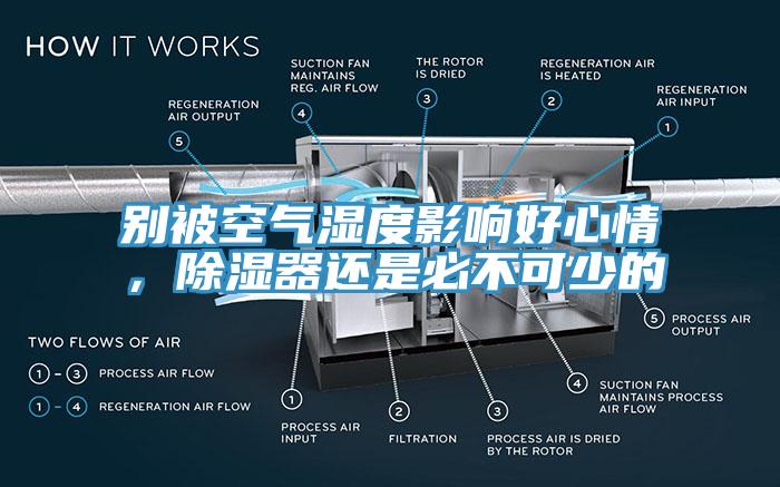 別被空氣濕度影響好心情，除濕器還是必不可少的