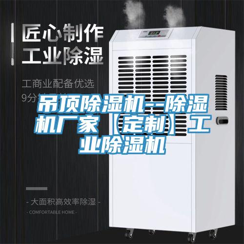 吊頂除濕機(jī)--除濕機(jī)廠家【定制】工業(yè)除濕機(jī)