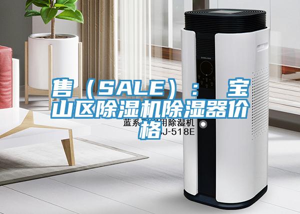 售（SALE）： 寶山區(qū)除濕機除濕器價格