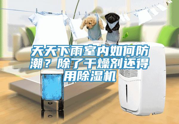 天天下雨室內(nèi)如何防潮？除了干燥劑還得用除濕機(jī)