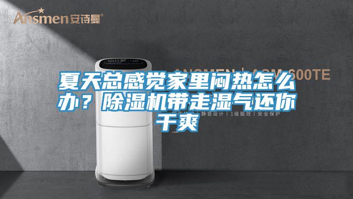 夏天總感覺家里悶熱怎么辦？除濕機帶走濕氣還你干爽