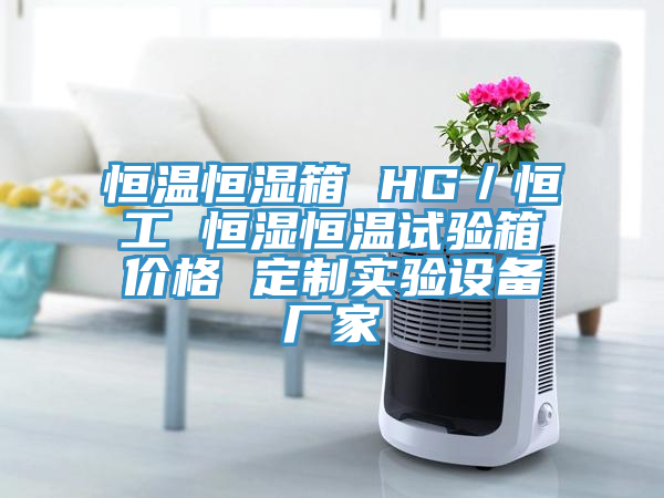 恒溫恒濕箱 HG／恒工 恒濕恒溫試驗箱價格 定制實驗設(shè)備廠家