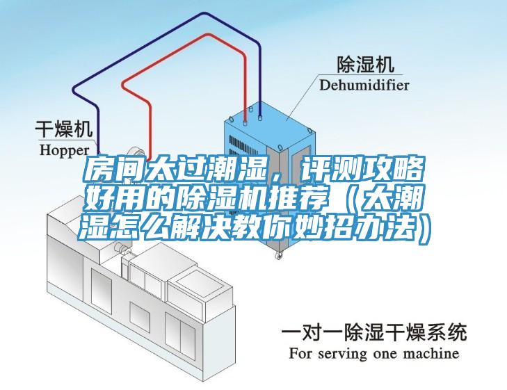 房間太過(guò)潮濕，評(píng)測(cè)攻略好用的除濕機(jī)推薦（太潮濕怎么解決教你妙招辦法）