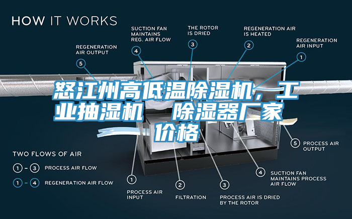 怒江州高低溫除濕機(jī)，工業(yè)抽濕機(jī)  除濕器廠家 價(jià)格