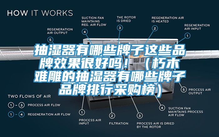 抽濕器有哪些牌子這些品牌效果很好嗎?。ㄐ嗄倦y雕的抽濕器有哪些牌子品牌排行采購榜）