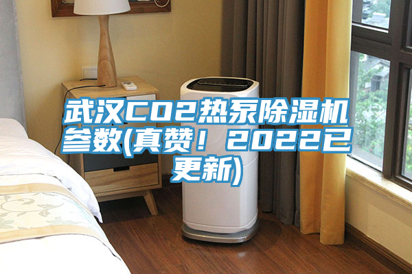 武漢CO2熱泵除濕機(jī)參數(shù)(真贊！2022已更新)