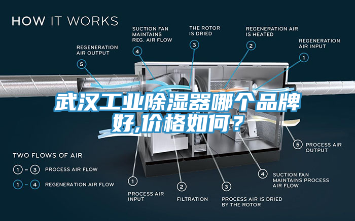 武漢工業(yè)除濕器哪個品牌好,價格如何？