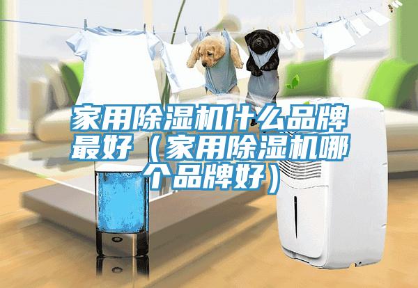 家用除濕機什么品牌最好（家用除濕機哪個品牌好）