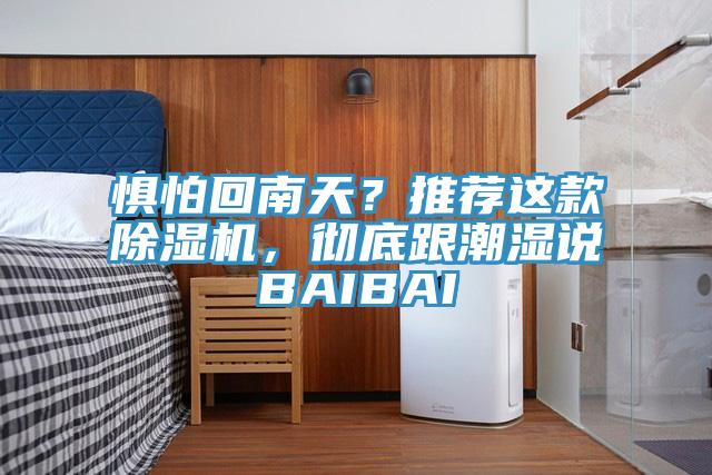 懼怕回南天？推薦這款除濕機，徹底跟潮濕說BAIBAI