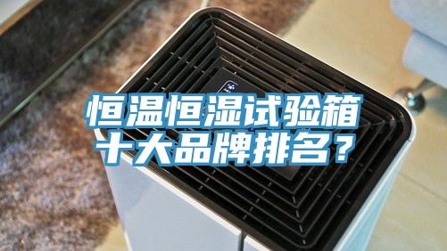 恒溫恒濕試驗(yàn)箱十大品牌排名？