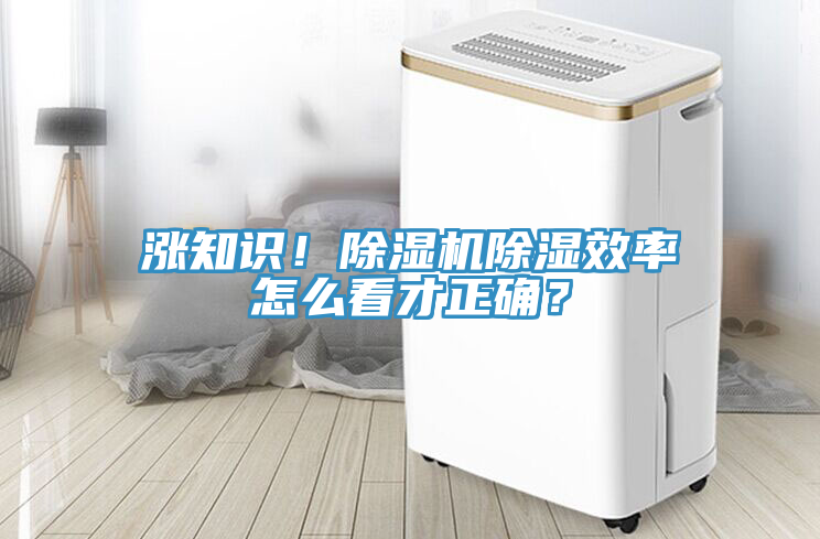 漲知識！除濕機除濕效率怎么看才正確？