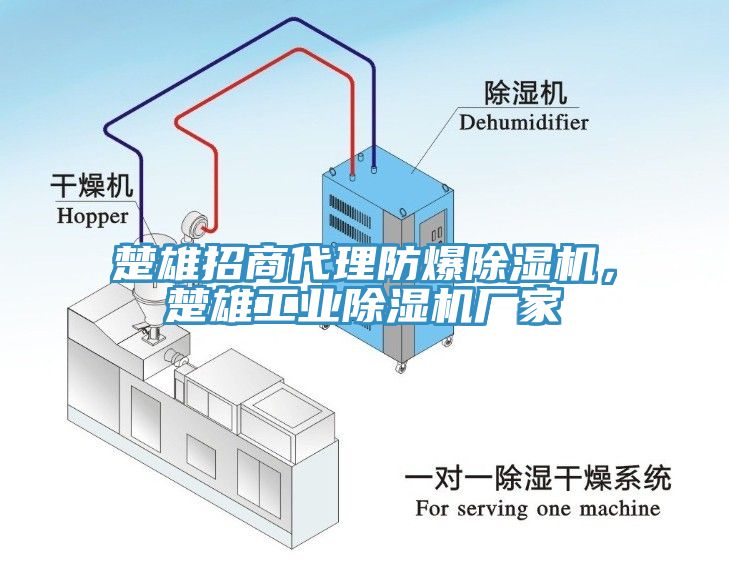 楚雄招商代理防爆除濕機，楚雄工業(yè)除濕機廠家