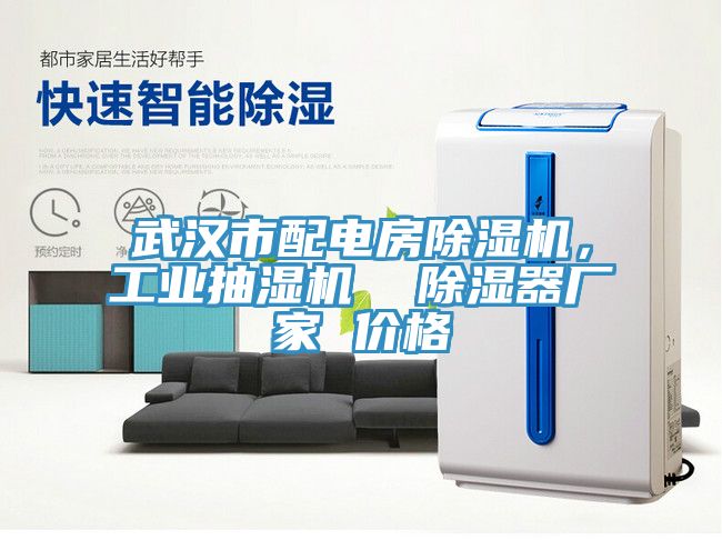 武漢市配電房除濕機(jī)，工業(yè)抽濕機(jī)  除濕器廠家 價(jià)格