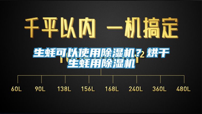 生蠔可以使用除濕機？烘干生蠔用除濕機