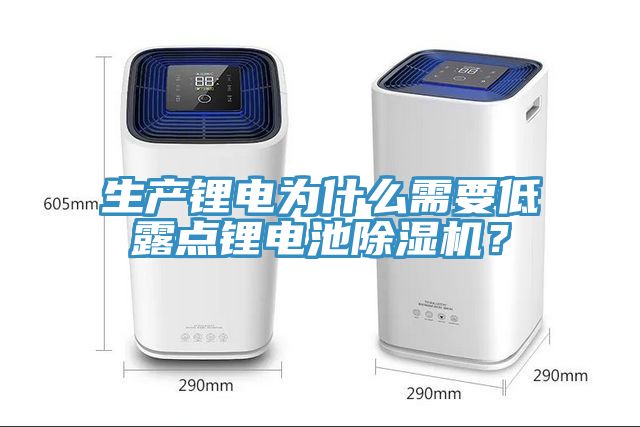 生產(chǎn)鋰電為什么需要低露點鋰電池除濕機？