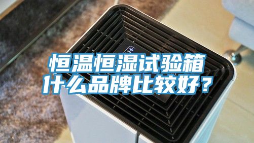 恒溫恒濕試驗(yàn)箱什么品牌比較好？