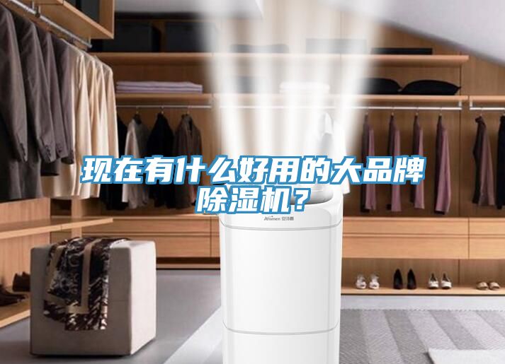 現(xiàn)在有什么好用的大品牌除濕機(jī)？