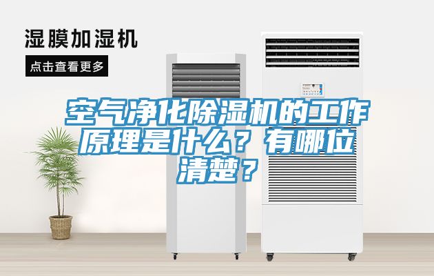 空氣凈化除濕機的工作原理是什么？有哪位清楚？