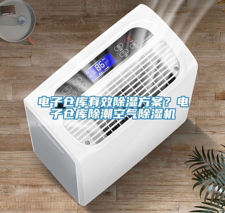 電子倉庫有效除濕方案？電子倉庫除潮空氣除濕機(jī)