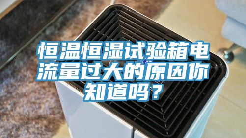 恒溫恒濕試驗箱電流量過大的原因你知道嗎？