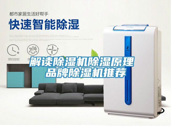 解讀除濕機除濕原理 品牌除濕機推薦