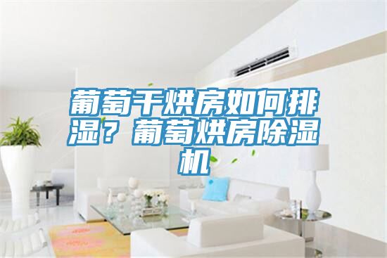 葡萄干烘房如何排濕？葡萄烘房除濕機(jī)