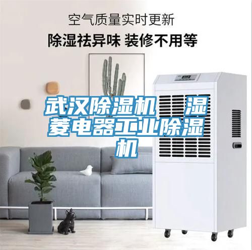 武漢除濕機(jī)  濕菱電器工業(yè)除濕機(jī)