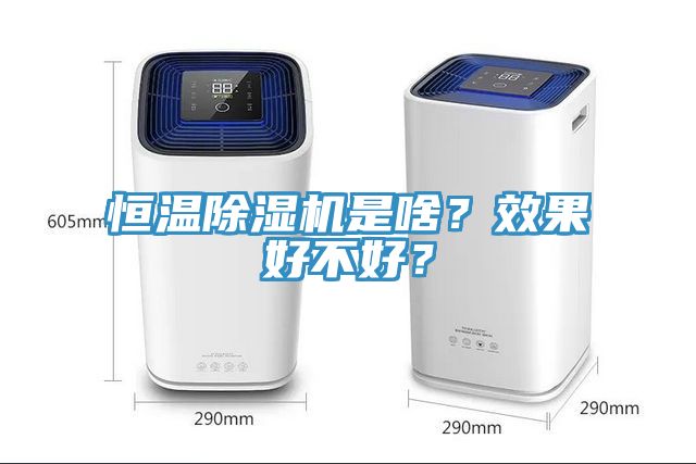 恒溫除濕機是啥？效果好不好？