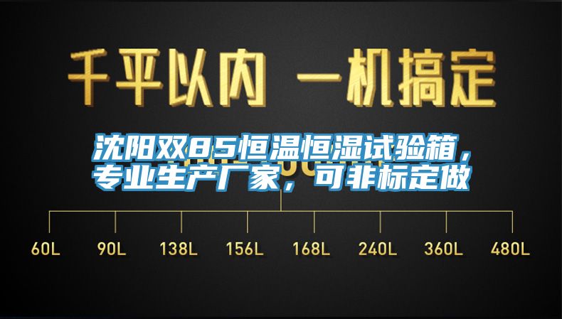 沈陽雙85恒溫恒濕試驗(yàn)箱，專業(yè)生產(chǎn)廠家，可非標(biāo)定做