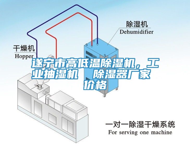 遂寧市高低溫除濕機，工業(yè)抽濕機  除濕器廠家 價格