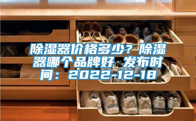 除濕器價格多少？除濕器哪個品牌好 發(fā)布時間：2022-12-18