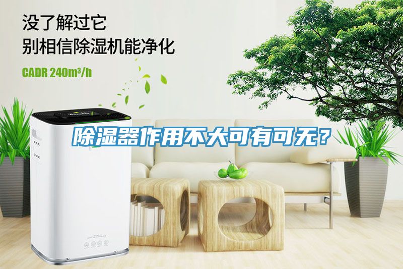 除濕器作用不大可有可無？