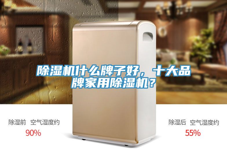 除濕機(jī)什么牌子好，十大品牌家用除濕機(jī)？