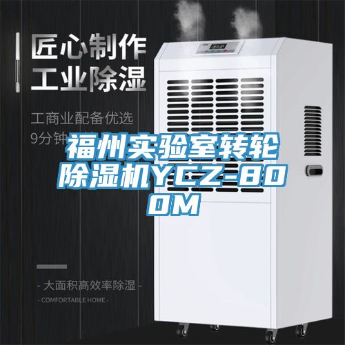 福州實(shí)驗(yàn)室轉(zhuǎn)輪除濕機(jī)YCZ-800M