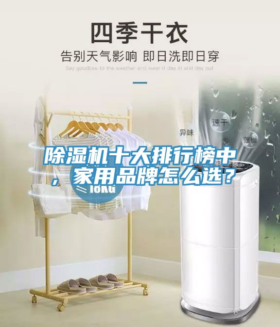 除濕機(jī)十大排行榜中，家用品牌怎么選？