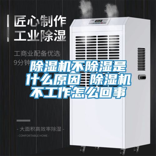 除濕機(jī)不除濕是什么原因 除濕機(jī)不工作怎么回事