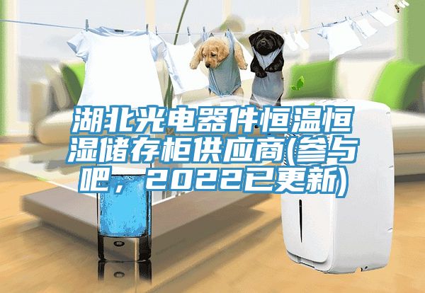 湖北光電器件恒溫恒濕儲存柜供應商(參與吧，2022已更新)