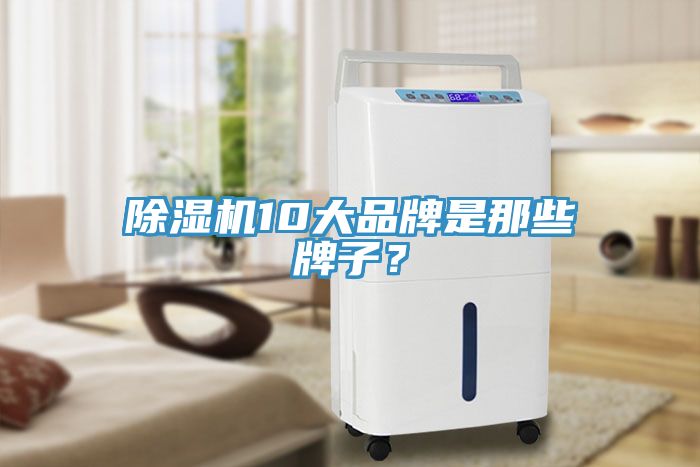 除濕機10大品牌是那些牌子？