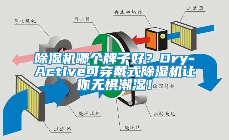 除濕機哪個牌子好？Dry-Active可穿戴式除濕機讓你無懼潮濕！