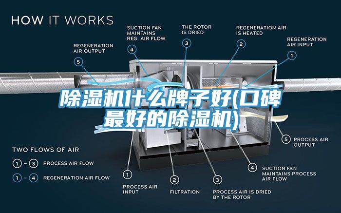 除濕機(jī)什么牌子好(口碑最好的除濕機(jī))