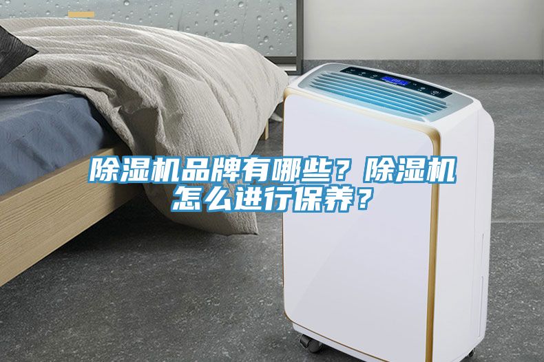 除濕機品牌有哪些？除濕機怎么進行保養(yǎng)？