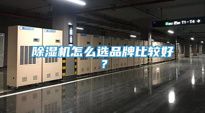 除濕機(jī)怎么選品牌比較好？