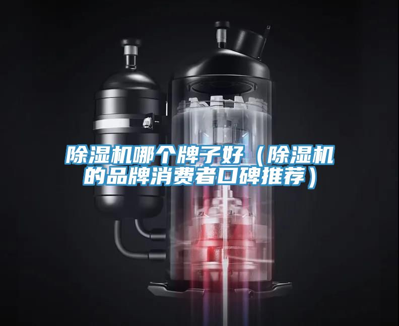 除濕機哪個牌子好（除濕機的品牌消費者口碑推薦）